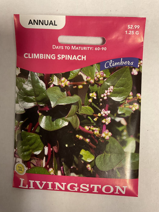 SPINACH - CLIMBING