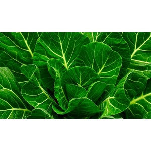 VATES COLLARDS 1/4#