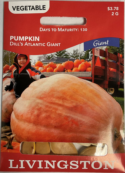 PUMPKIN -DILLS ATLANTIC GIANT