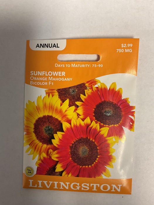 SUNFLOWER ORANGE MAHOGANY BICO