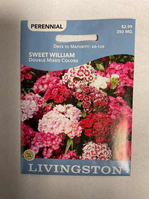 SWEET WILLIAM DBL MIXED COLORS