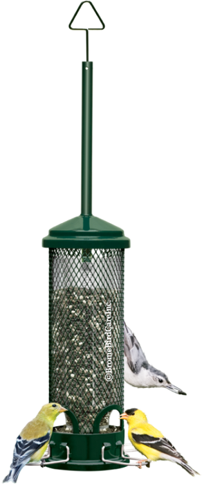 SQUIRREL BUSTER MINI