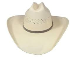 TURNER HAT