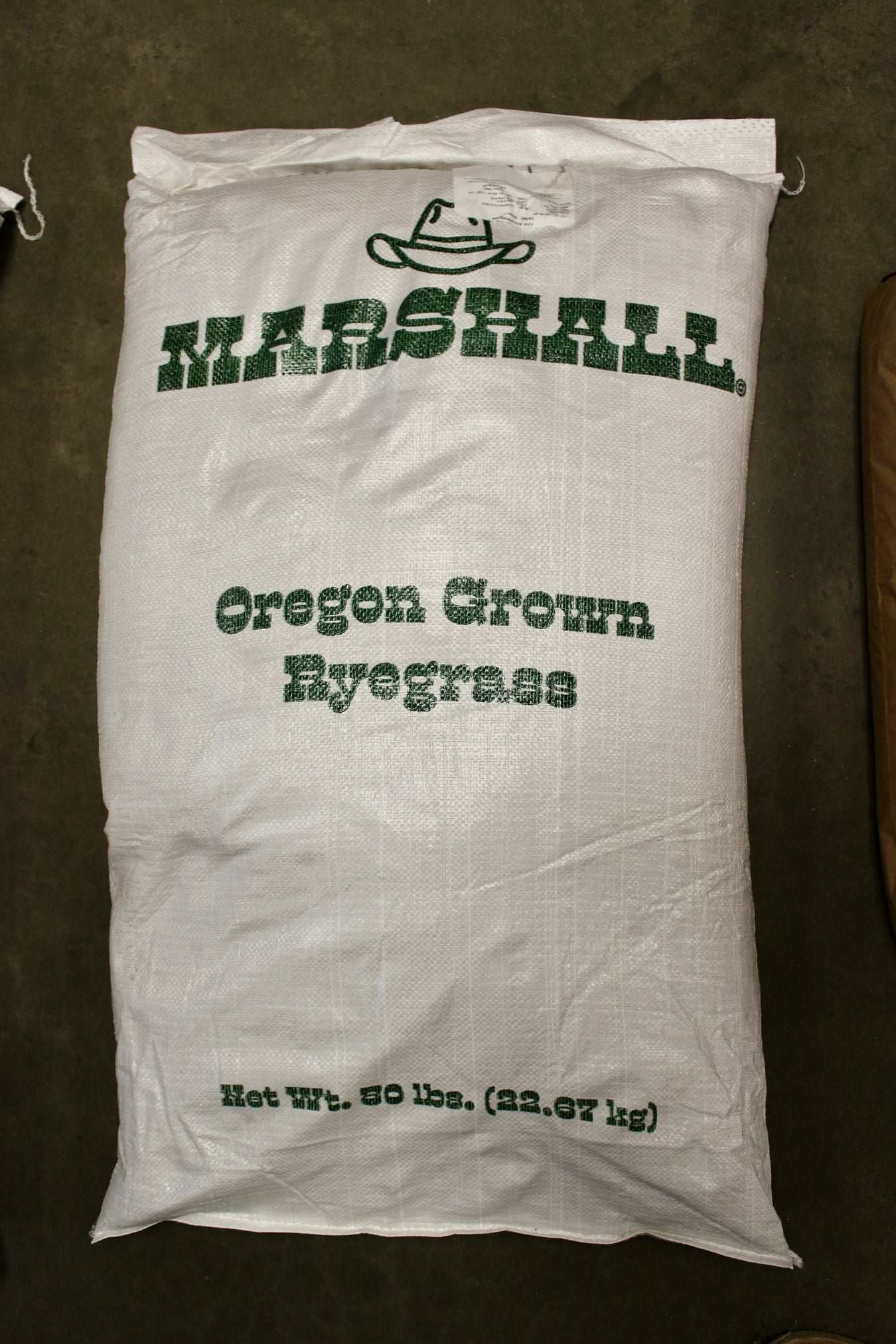 RYEGRASS
