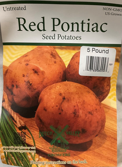 POTATO-RED PONTIAC 5#