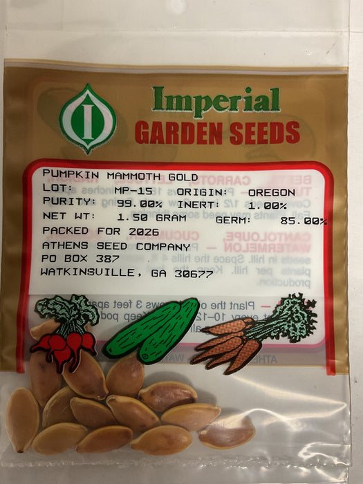 MAMMOTH GOLD PUMPKIN 1.5 GRAM
