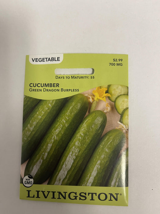 CUCUMBER - GREEN DRAGON