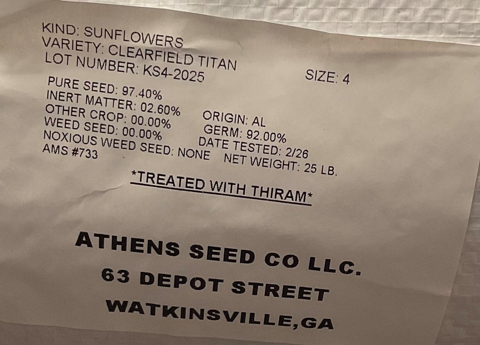 CLEARFIELD SUNFLOWER