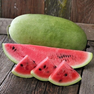 CHARLESTON GREY WATERMELON 1#