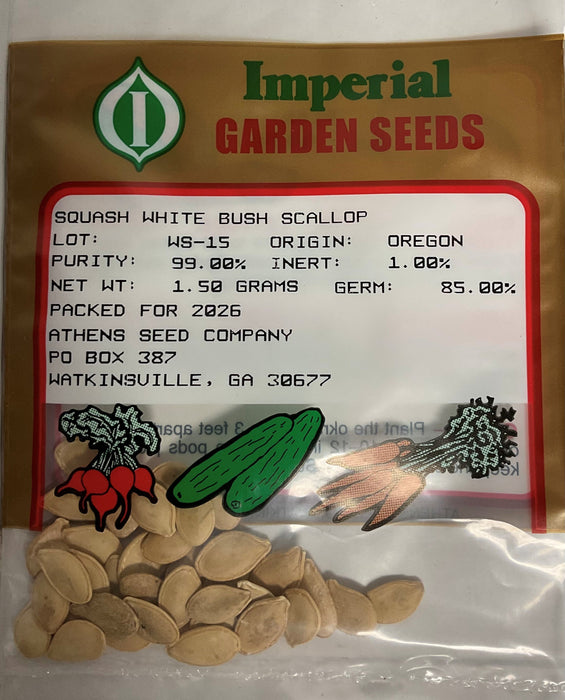 WHITE BUSH SCALOP SQUASH 1.50G