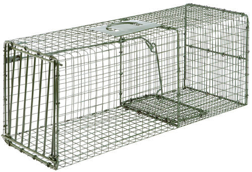 DUKE-#1112 HD RACCOON TRAP