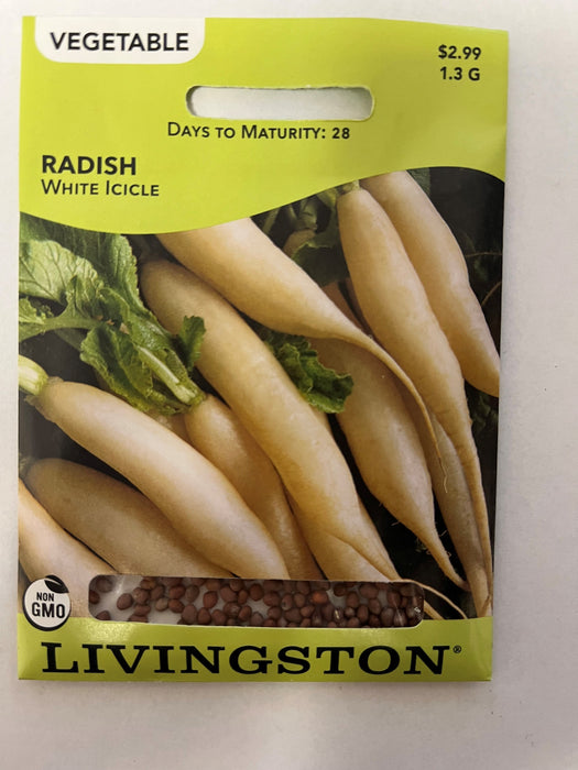 RADISH WHITE ICICLE