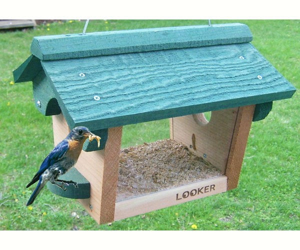 SONGBIRD ESSENTIAL BLUE BIRD