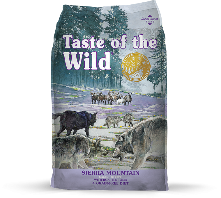 TOTW-DOG SIERRA MOUNTAIN 28#