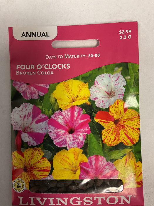 FOUR O'CLOCKS BROKEN COLOR