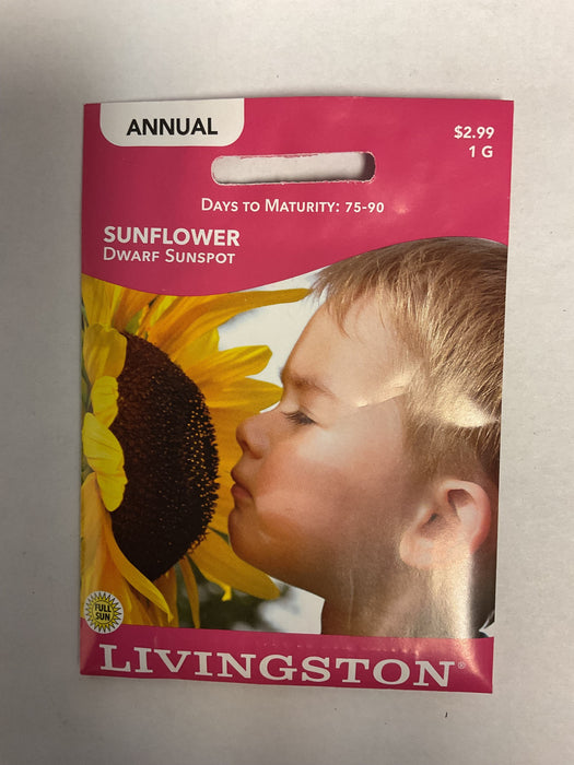 SUNFLOWER DWARF SUNSPOT