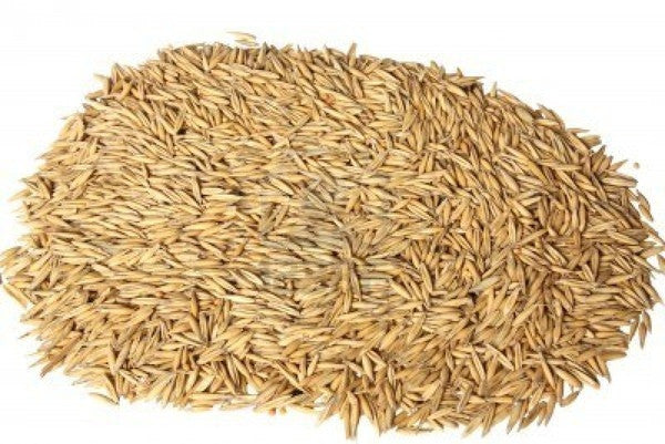 HARRISON OATS  50#