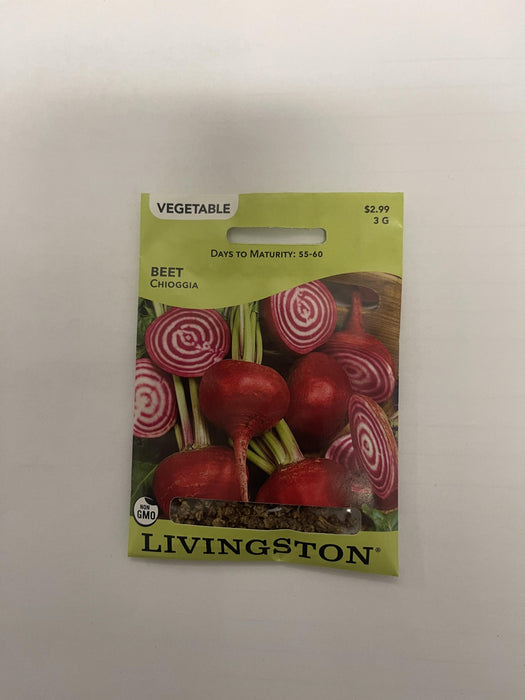 BEET CHIOGGIA