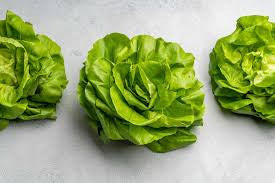 BIBB LETTUCE 1.50 GRAM