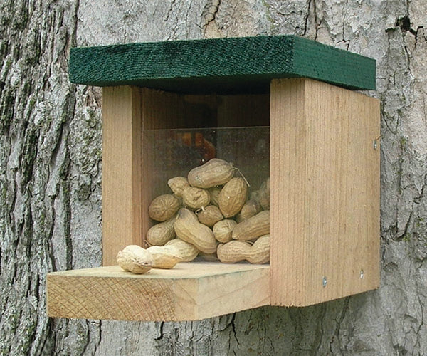 SQUIRREL SNACK BOX