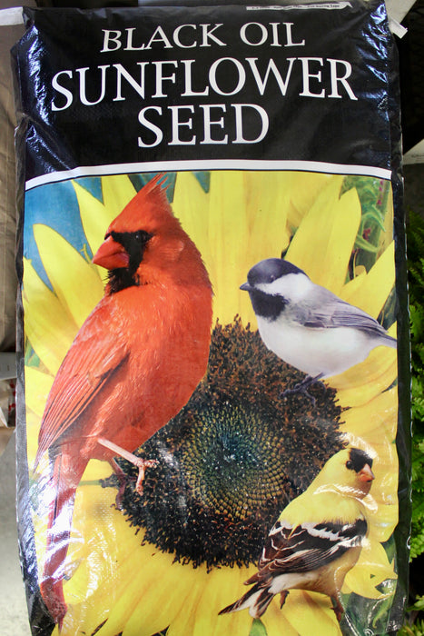 ASC-BLACK OIL SUNFLOWER 50#