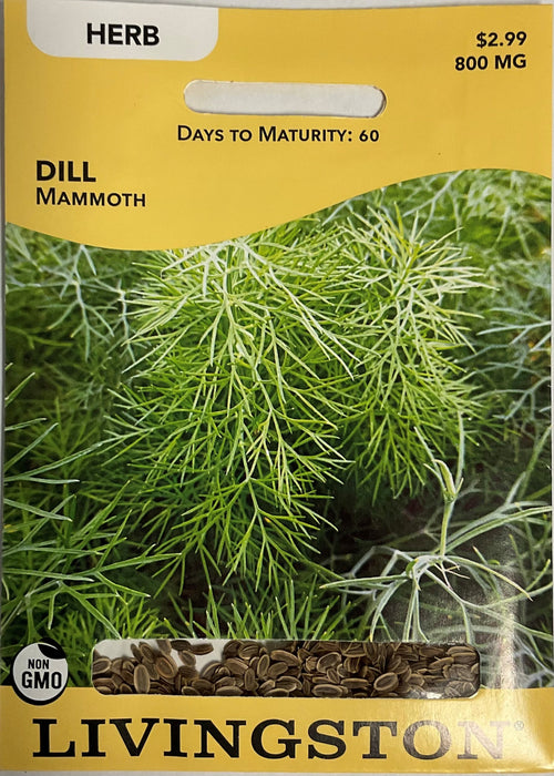 DILL - MAMMOTH