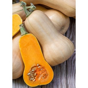 BUTTERNUT SQUASH 1.50 GRAM