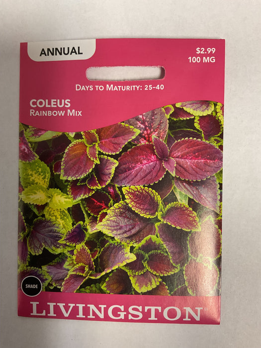 COLEUS RAINBOW MIX 100MG