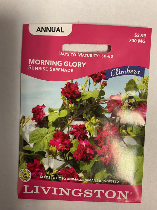 MORNING GLORY SUNRISE SERENADE