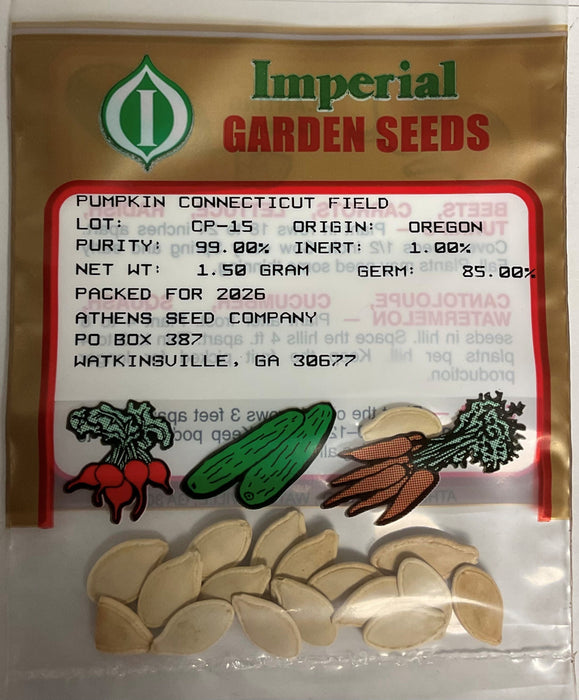 CONNFIELD PUMPKIN 1.0 GRAM