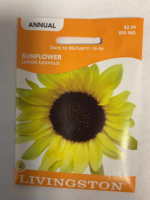 SUNFLOWER LEMON LEOPOLD