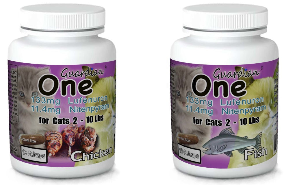 GUARDIAN ONE CATS 2-10#