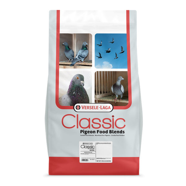 RACING PIGEON FEED 80040