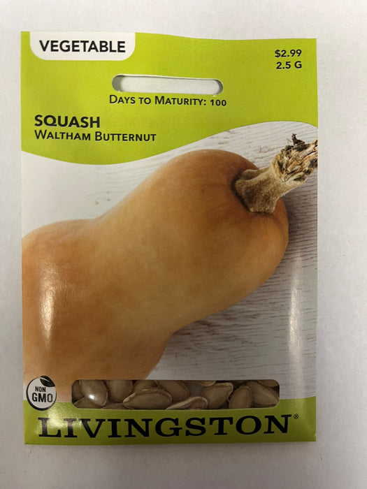 SQUASH WALTHAM BUTTERNUT