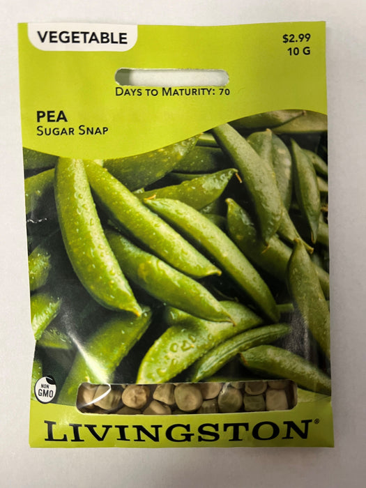 SUGAR SNAP PEA 10G