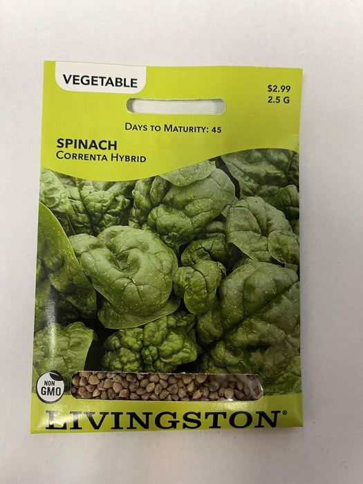 SPINACH - CORRENTA HYBRID