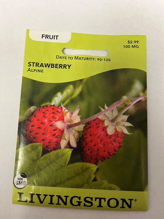 STRAWBERRY - ALPINE