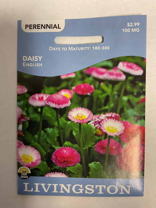 DAISY ENGLISH 100MG