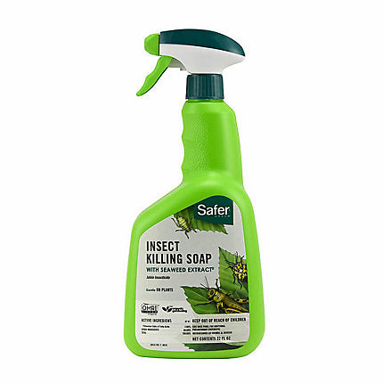 SAFER-INSECT SOAP RTU QT