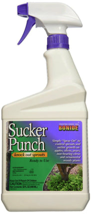 BON-SUCKER PUNCH RTU 32 OZ