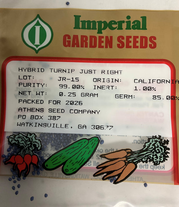 JUST RIGHT HYB TURNIP .25 OZ