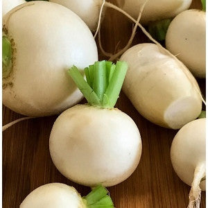 SHOGOIN TURNIP .25 OZ