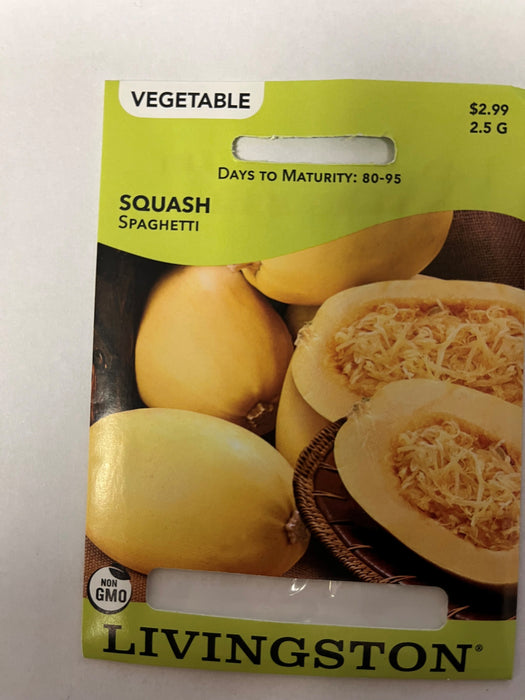 SQUASH SPAGHETTI