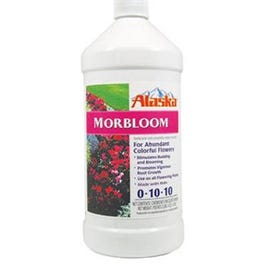 ALASKA-MORBLOOM CONC QT