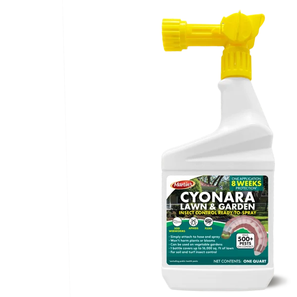MARTIN'S-CYONARA RTS QT
