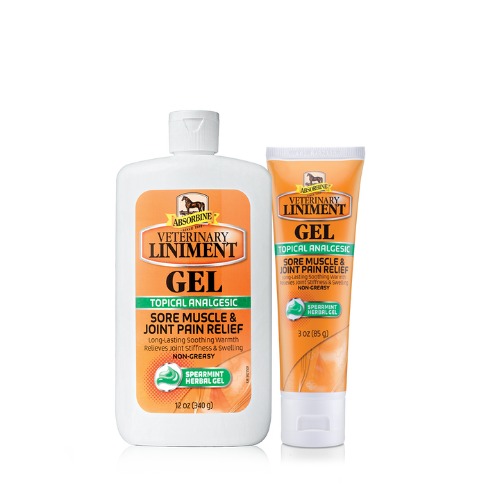 ABSORBINE ANALGESIC GEL 12 OZ
