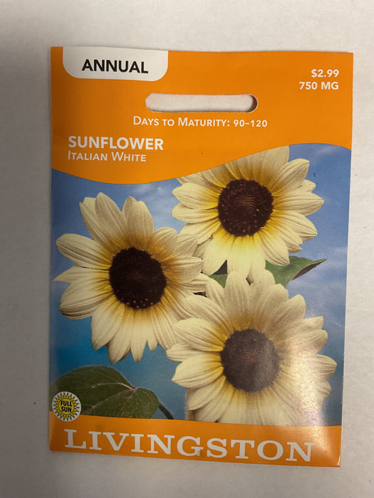 SUNFLOWER ITALIAN WHITE