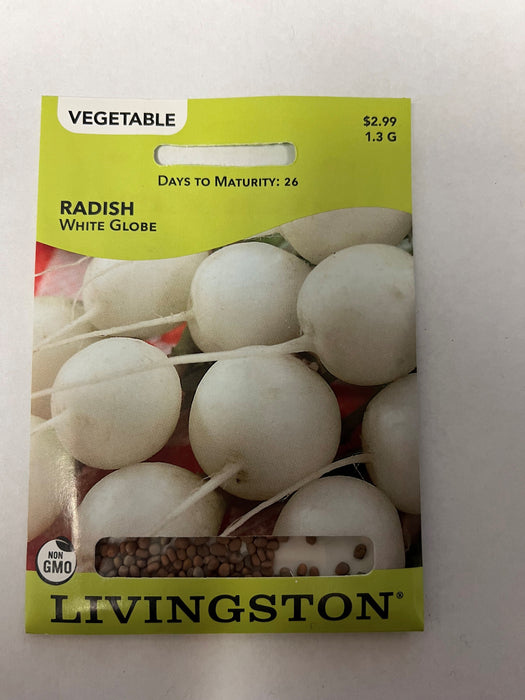 RADISH WHITE GLOBE