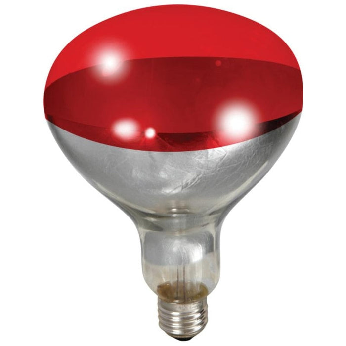 RED HEAT LAMP BULB 170024