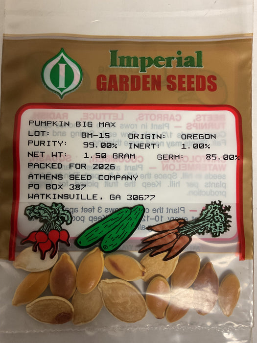 BIG MAX PUMPKIN 1.5 GRAM